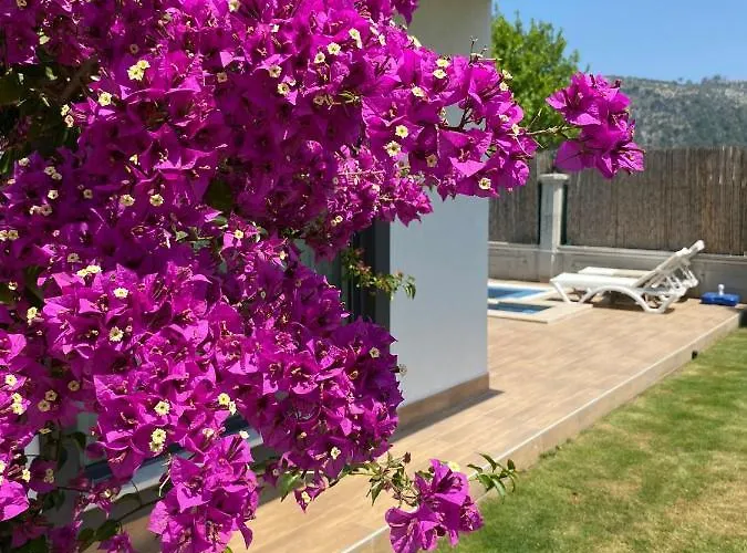 Kalinda Close To Airport 빌라